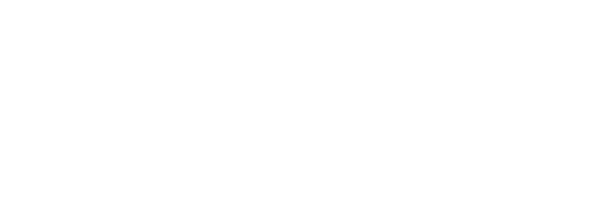 شركة ترافلك للخدمات السياحية الدولية